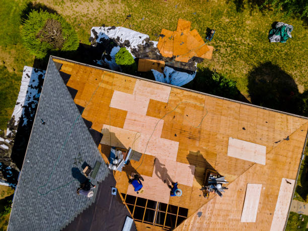Best Flat Roof Repair Services  in Reading, PA